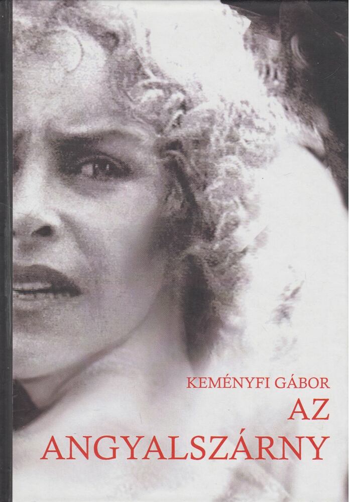 Keményfi Gábor - Az angyalszárny