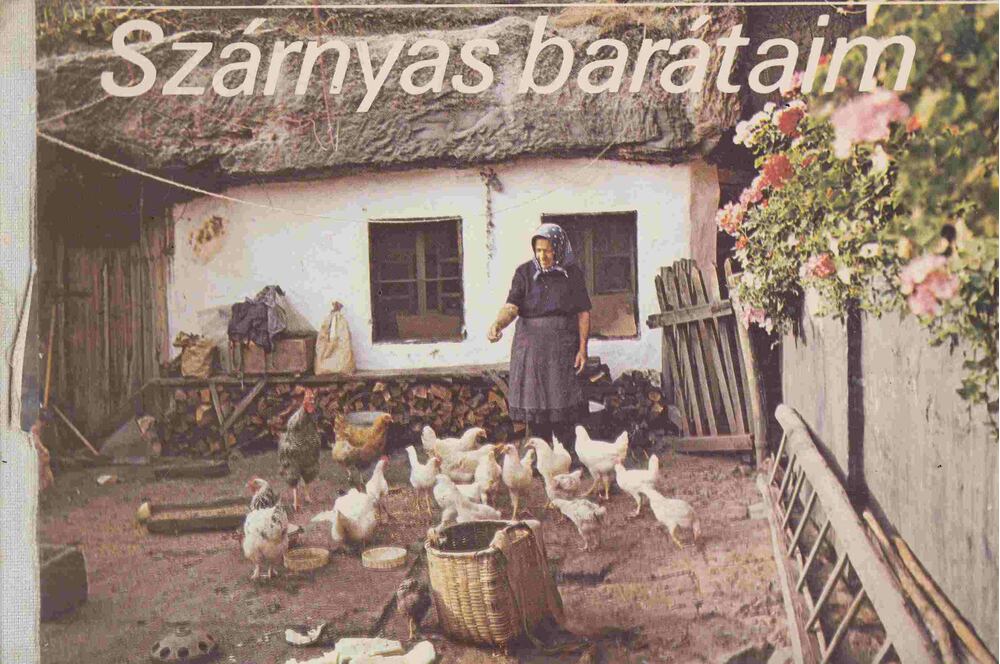  - Szárnyas barátaim