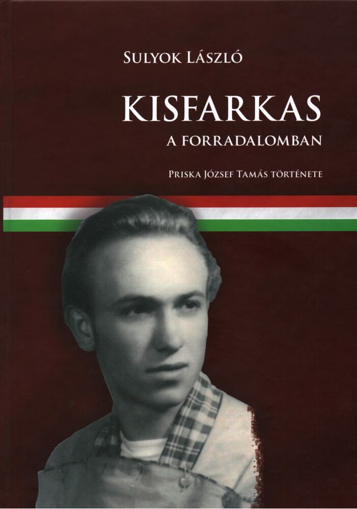 Sulyok László - Kisfarkas a forradalomban Sulyok László - Kisfarkas a forradalomban, Budapest 2020 antikvár könyv