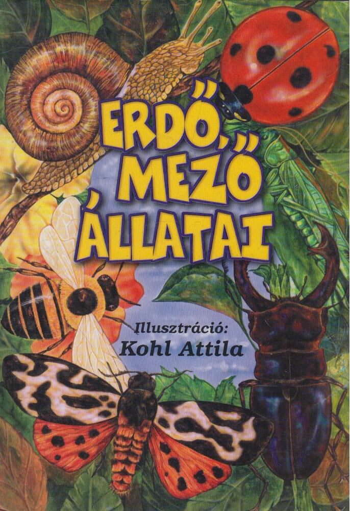  - Erdő, mező állatai
