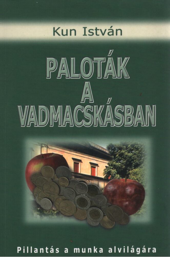 Kun István - Paloták a Vadmacskásban
