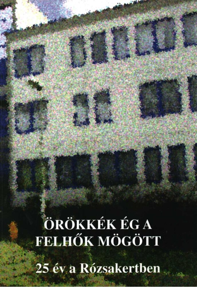Ladányiné Sütő Tünde,Nagyné Bitter Ilona - Örökkék ég a felhők mögött