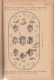 Thumbnail kép