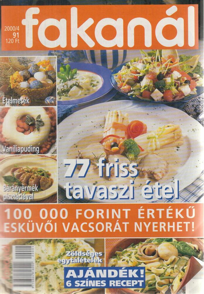 Erdélyi Z. Ágnes - Fakanál 2000/4.