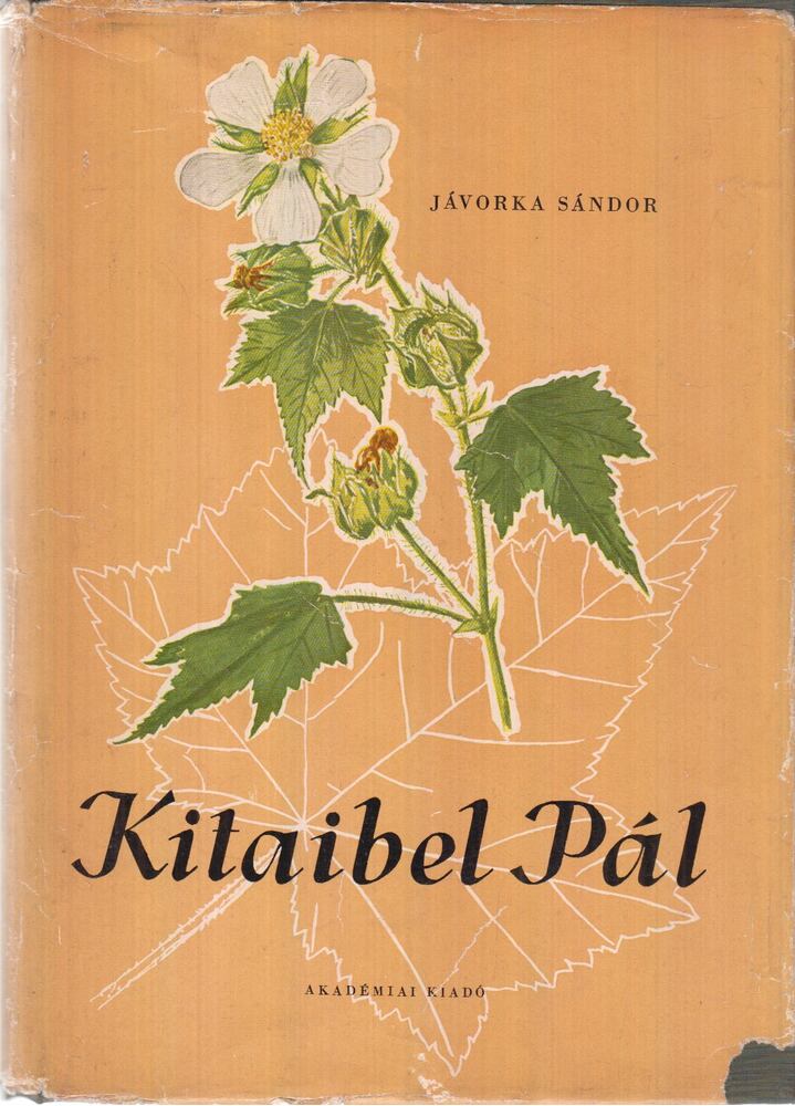 Jávorka Sándor - Kitaibel Pál