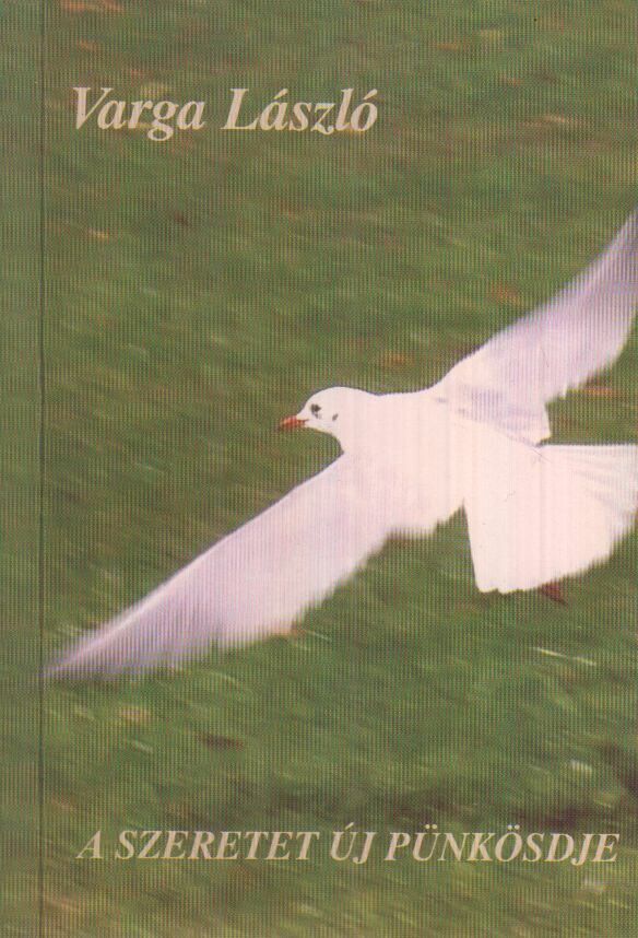 Varga László - A szeretet új pünkösdje, Kaposvár 2005 antikvár könyv