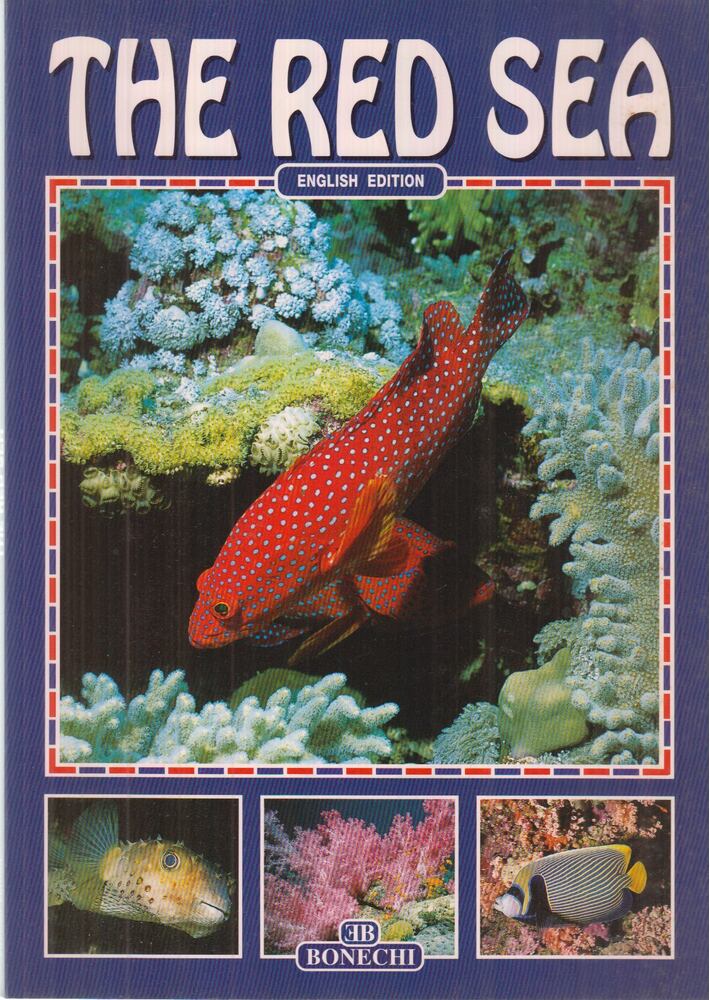 Andrea Ghisotti - The Red Sea
