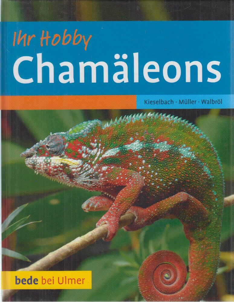 Kieselbach, Dominik,Müller, Rolf,Walbröl, Ulrike - Chamäleons