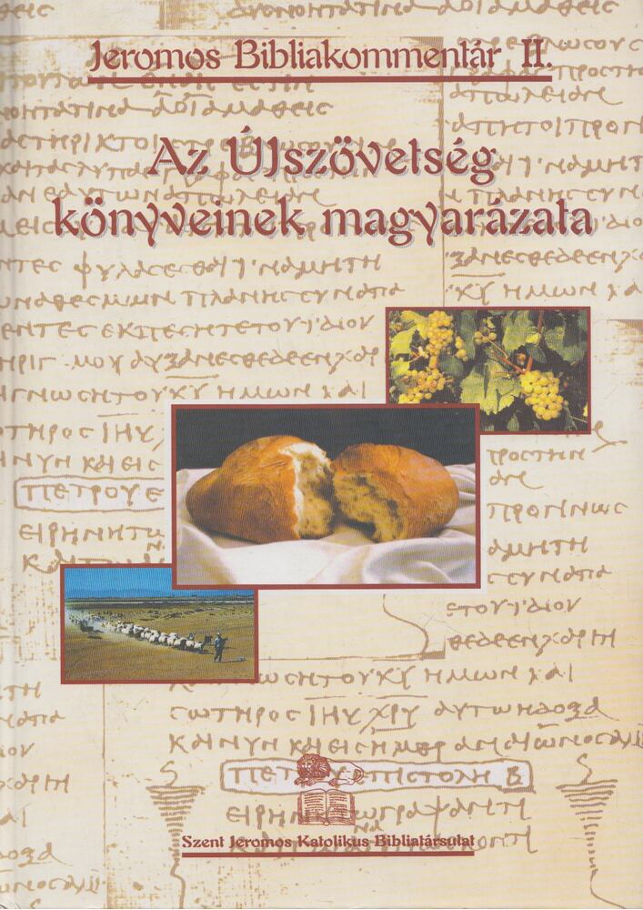 Boros István - Az Újszövetség könyveinek magyarázata