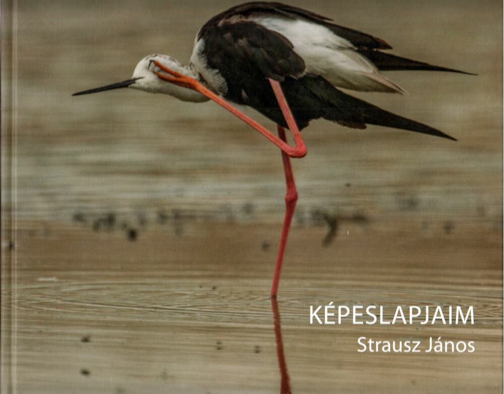 János Strausz - Képeslapjaim