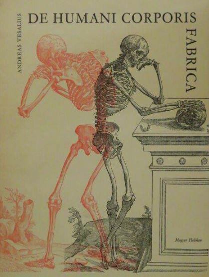 Vesalius, Andreas - De humani corporis fabrica