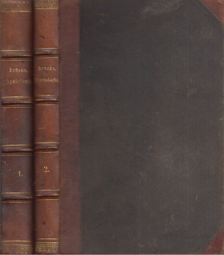 Ernst Brücke - Vorlesungen über Physiologie I-II., Wien 1885 antikvár könyv