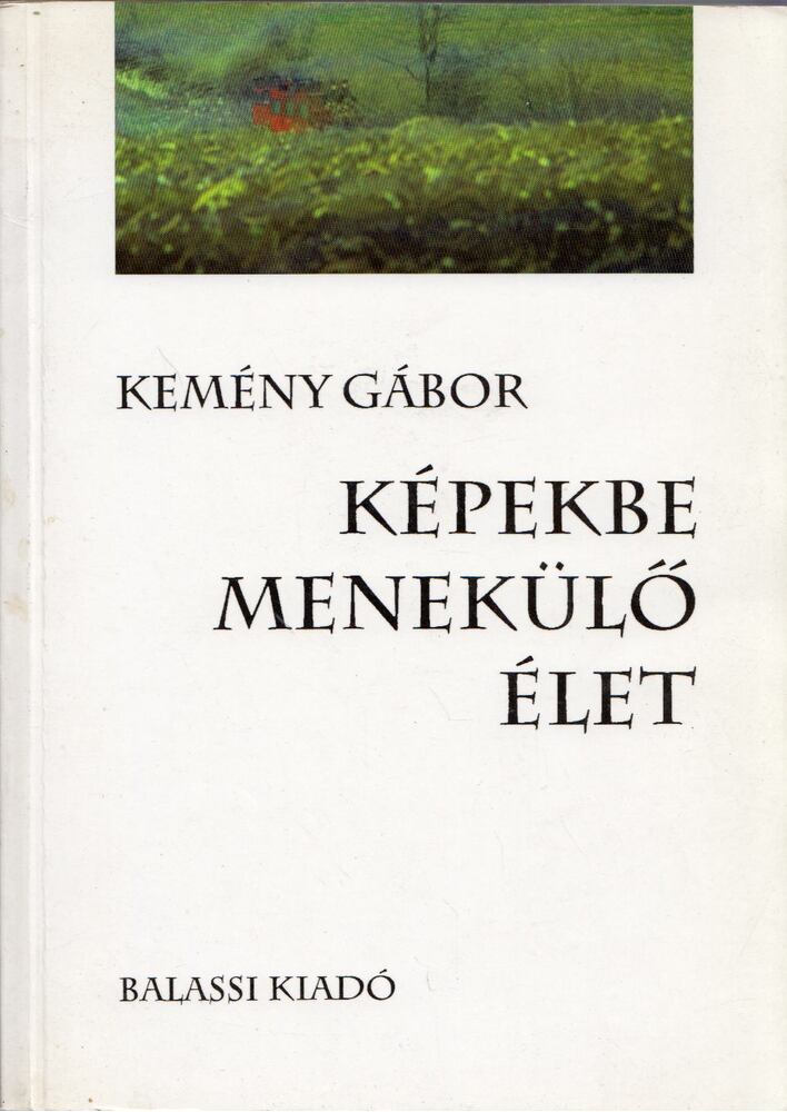 Kemény Gábor - Képekbe menekülő élet