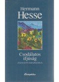 Hermann Hesse - Csodálatos ifjúság