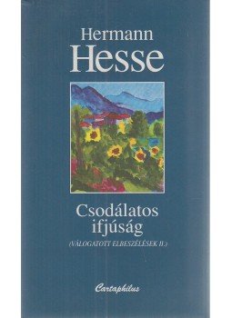 Hermann Hesse - Csodálatos ifjúság Hermann Hesse - Csodálatos ifjúság, Budapest 2004 antikvár könyv