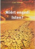 Cseri Kálmán - Miért engedi Isten?