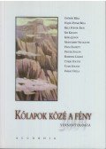Balázs Tibor - Kőlapok közé a fény