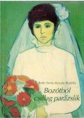 Bede Anna,Koszta Rozália - Bozótból csillag parázslik