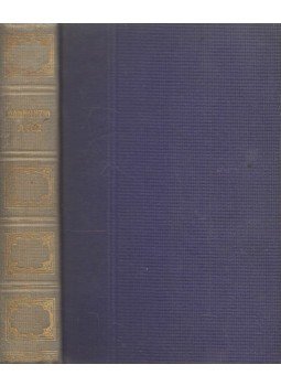 D'Annunzio, Gabriele - A tűz D'Annunzio, Gabriele - A tűz, Budapest 1914 antikvár könyv