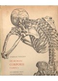 Vesalius, Andreas - De Humani Corporis Fabrica - Az emberi test felépítéséről