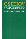 Anton Pavlovics Csehov - Szakadékban
