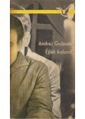 Guljaski, Andrej - Éjféli kaland