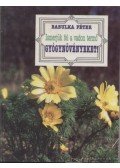 Babulka Péter - Ismerjük fel a vadon termő gyógynövényeket!