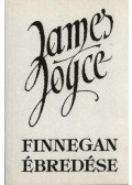 James Joyce - Finnegan ébredése