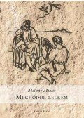 Molnár Miklós - MEGHÓDOL LELKEM...