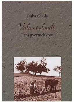 Duba Gyula - VALAMI ELMÚLT - ERNI GYEREKKORA Duba Gyula - VALAMI ELMÚLT - ERNI GYEREKKORA, null 2009 antikvár könyv