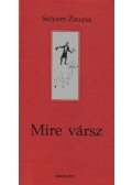 Selyem Zsuzsa - Mire vársz