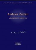 Ambrus Zoltán - Ambrus Zoltán Válogatott novellái
