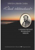 Dávid Gábor Csaba - Célunk tökéletesedésünk. A nemzetnevelő Wesselényi Miklós