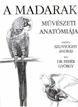 Fehér György, Szunyoghy András - A madarak művészeti anatómiája Fehér György, Szunyoghy András - A madarak művészeti anatómiája, null 2007 antikvár könyv