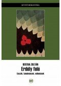 Bertha Zoltán - Erdély felé