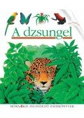 René Mettler - A dzsungel