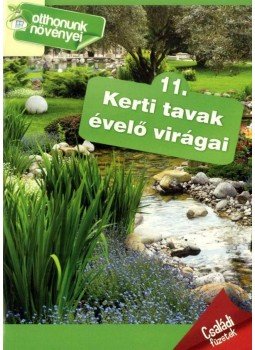  - Kerti tavak évelő virágai- Otthonunk növényei 11., null 2013 antikvár könyv