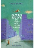 John Boyne - Barnaby Brocket és a szörnyű dolog, ami vele megesett