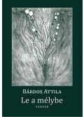 Bárdos Attila - Le a mélybe