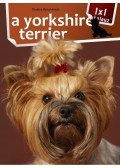 Varga Mónika - A yorkshire terrier