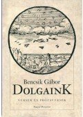 Bencsik Gábor - Dolgaink
