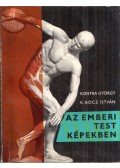 Kontra György,K. Bócz István - Az emberi test képekben