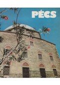 Panyik István,Sellei Sarolta - Pécs