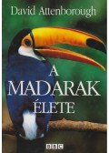 Attenborough, David - A madarak élete