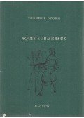 Theodor Storm - Aquis Submersus