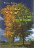 Thomas Schafer - Ami a lelket megbetegíti és ami meggyógyítja