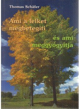 Thomas Schafer - Ami a lelket megbetegíti és ami meggyógyítja Thomas Schafer - Ami a lelket megbetegíti és ami meggyógyítja, Budapest 2010 antikvár könyv