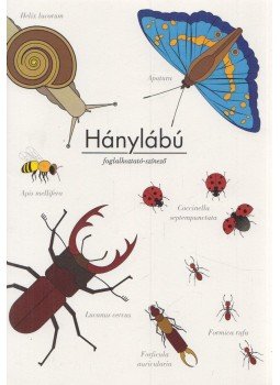 Nagy Diána - Hánylábú Nagy Diána - Hánylábú, null 2014 antikvár könyv