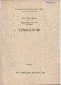Vida Miklós dr.,Meszléry Celesztin - Gázellátás