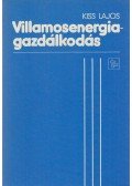Kiss Lajos - Villamosenergia-gazdálkodás